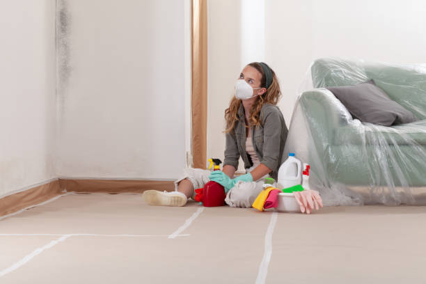 Reliable Mold Removal contractor in Edmonds, WA by WQB Mold Removal